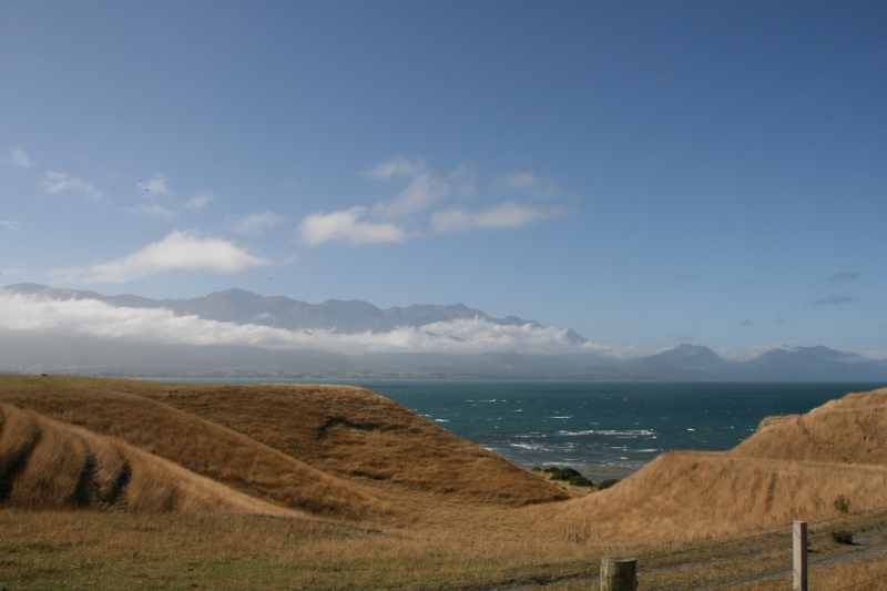 Nieuw-Zeeland 2011 - 1177